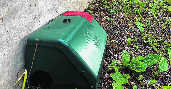 Die Plastik-Boxen enthalten Giftköder. Sie sollen bei der Rheinpromenade weiterhin im Einsatz bleiben. Foto: Valentin Zumsteg