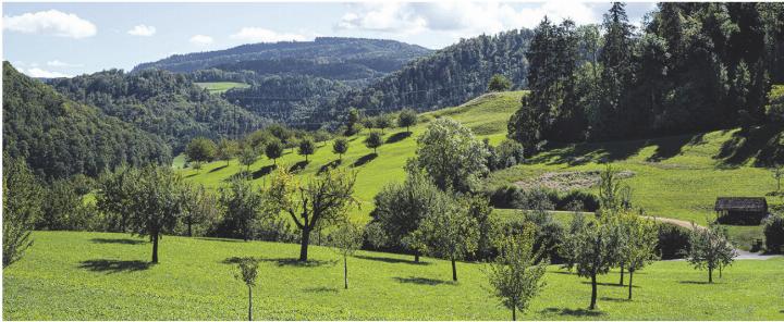 Das überdurchschnittlich hohe Bevölkerungswachstum im Aargau macht den Umgang mit der begrenzten natürlichen Ressource Boden herausfordernd. Foto: Archiv NFZ