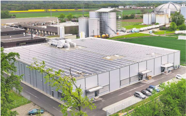 Die Industriehalle, in der die SwissShrimp AG Crevetten produzierte, gehört der Schweizer Salinen AG. Die künftige Nutzung ist noch offen. Foto: zVg