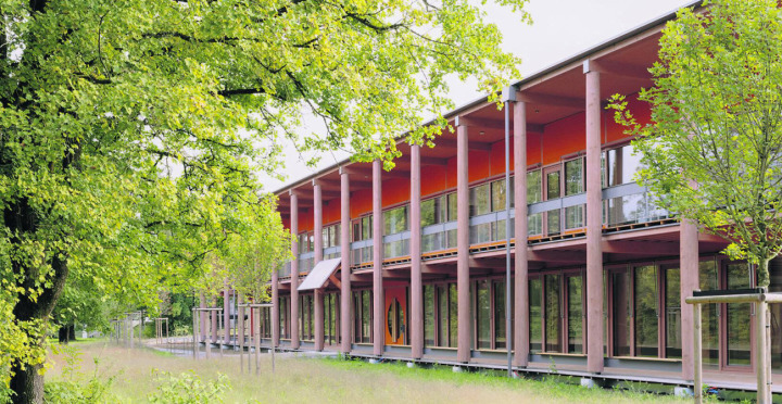 Für den Holz-Hybrid-Pavillon wurden rund 2600 Kubikmeter Holz aus dem Staatswald verbaut. Foto: zVg