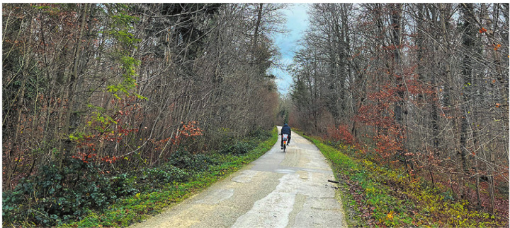 Vorerst ändert sich nichts. Eine allfällige Sanierung der Waldstrasse soll mit dem Leitungsbau der AEW Energie AG koordiniert werden. Archivfoto: Valentin Zumsteg