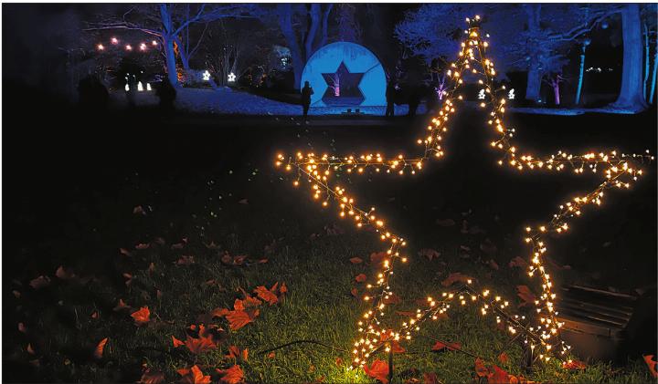 Foto: Valentin Zumsteg Foto: Valentin Zumsteg