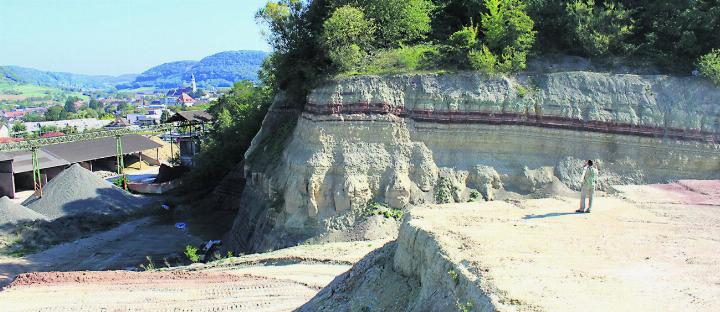 Die hohe Dichte an Raubsaurier-Skeletten der späten Trias verleiht dem Fundort Frick seine grosse Bedeutung. Foto: zVg