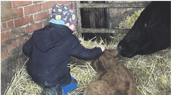 Entdecken und Erleben auf dem Bauernhof. Auch das gehört zum Angebot des Elternvereins Mettauertal-Gansingen. Foto: zVg