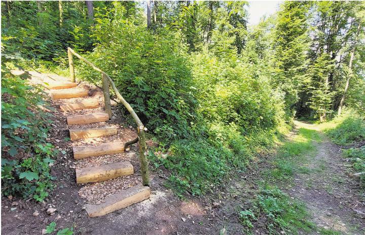 Im Sommer hat der Zivilschutz eine Treppe erstellt und die Wege gesäubert. Foto: zVg