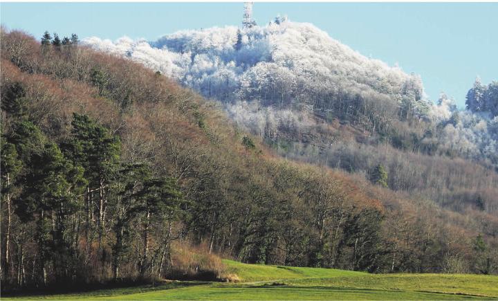 Bilder und Text: Peter Bircher-Schreiber/