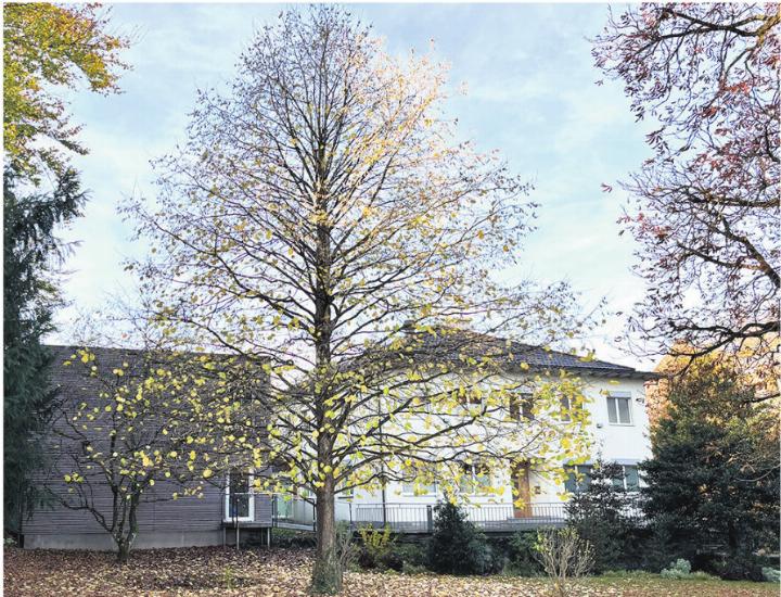 Die Verhandlung vor dem Bezirksgericht Rheinfelden wurde abgebrochen. Foto: Judith Natterer Gartmann Die Verhandlung vor dem Bezirksgericht Rheinfelden wurde abgebrochen. Foto: Judith Natterer Gartmann