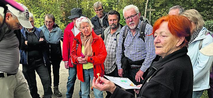 Eintauchen in die Welt der Pilze. Foto: zVg
