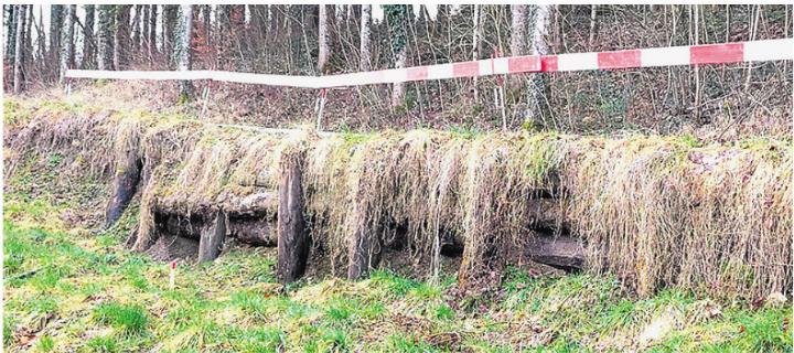 Durch das erneute Rutschen unterhalb der Verbindungsstrasse wurden die zur Befestigung eingebrachten Baumstämme freigelegt. Foto: zVg