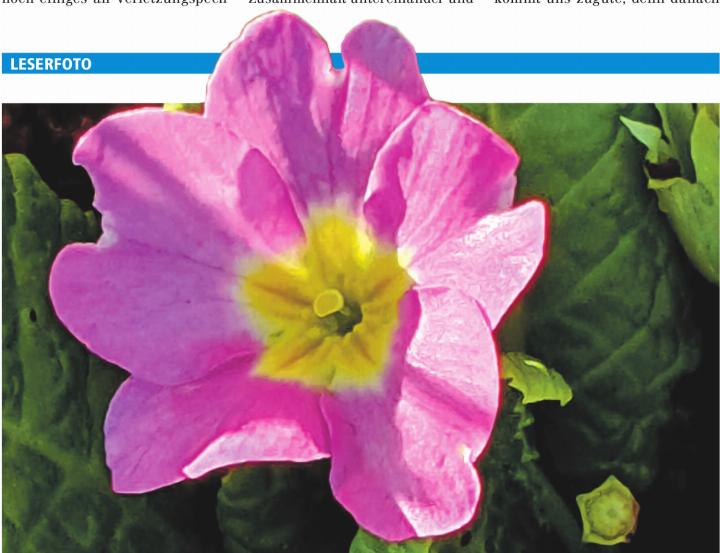 Unterwegs in Möhlin: Immer wieder schön. Foto: Susanne Hasler, Möhlin