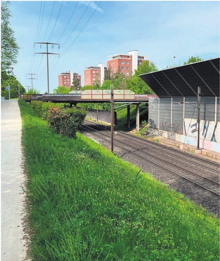 In der Nähe des Rheinfelder Waldfriedhofs sind zwei Hemmschuhe auf die Gleise gelegt worden, kurz bevor jeweils eine S-Bahn durchfuhr. Foto: Valentin Zumsteg
