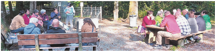 Gute Beteiligung beim ersten Waldgeflüster. Foto: zVg