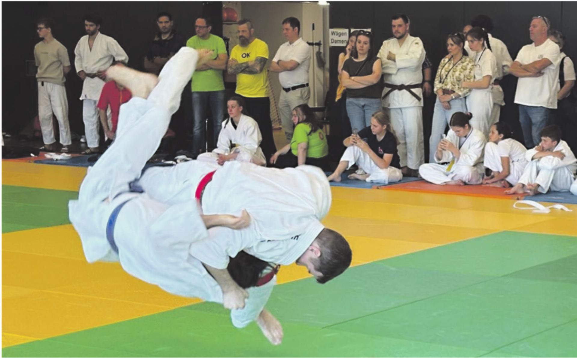 Pulsierendes Zentrum des Aargauer Judosports - Das Bild wird blockiert. – Möglicherweise durch einen aktiven Adblocker.