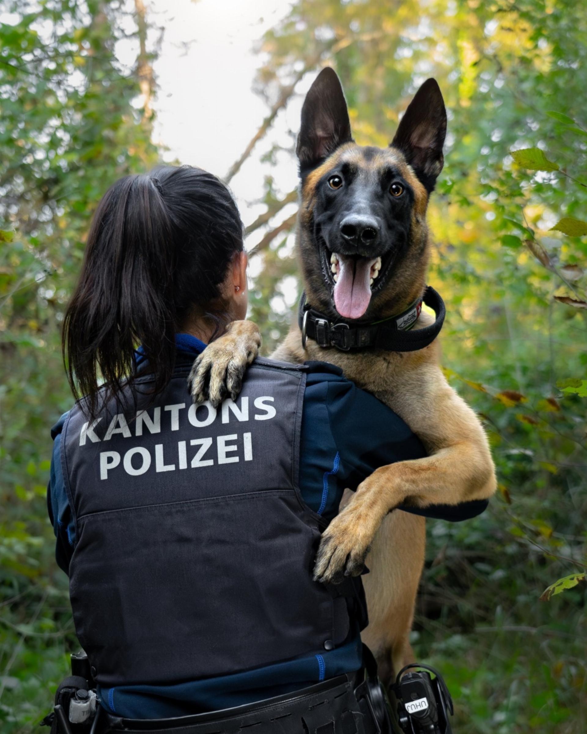 Brugg: Diensthund "Malouk" unterstützte erfolgreich bei Fahndung nach Kupferdieben - Das Bild wird blockiert. – Möglicherweise durch einen aktiven Adblocker.