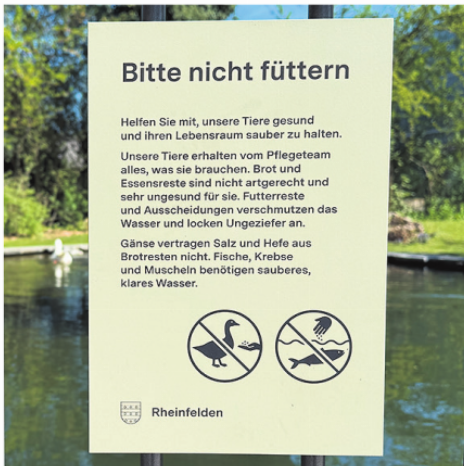 Wildtiere bitte nicht füttern - Das Bild wird blockiert. – Möglicherweise durch einen aktiven Adblocker.