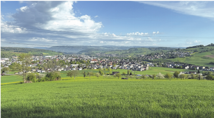 Der Gemeinderat rechnet damit, dass die dynamische Entwicklung der Bevölkerung von Frick zu steigenden Steuererträgen führt. Foto: Simone Rufli