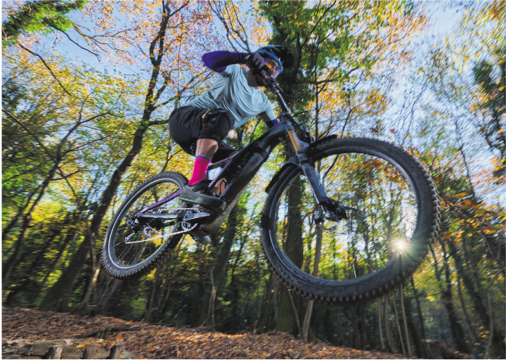 Biken im Wald auf unbefestigten Strassen, ganz legal: Ein Trail im Wegenstetter- und Fischingertal soll das möglich machen. Foto: iStock