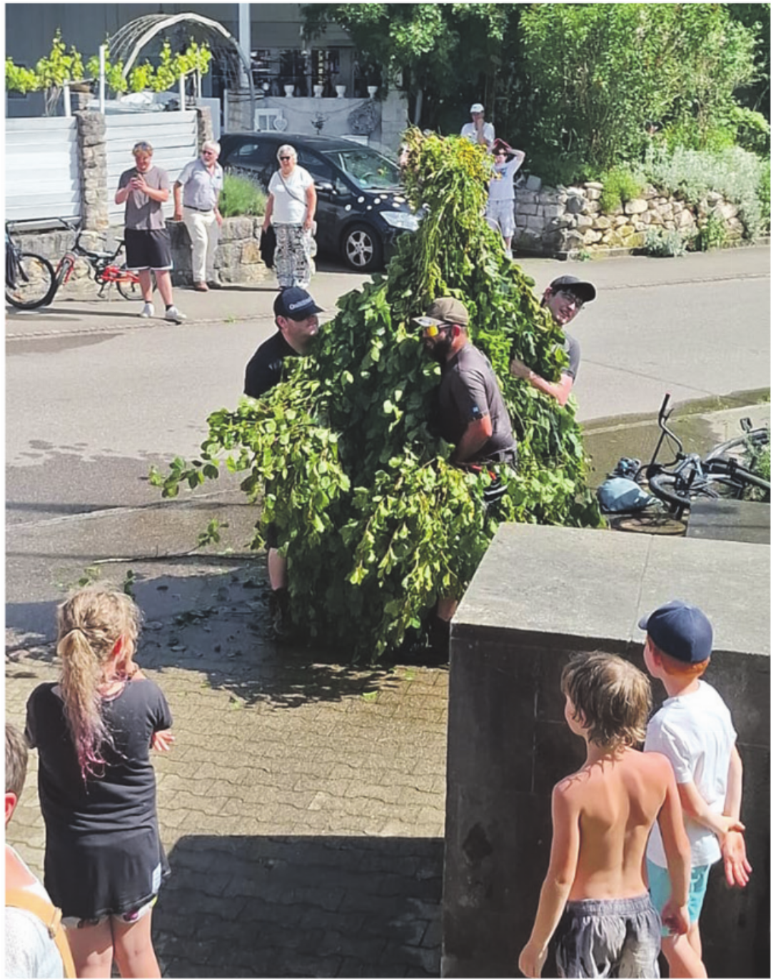 Foto: zVg Foto: zVg