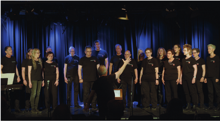 Die Freaktal Singers zeigten ein abwechslungsreiches Programm. Foto: zVg