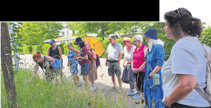 Bianca Zogg wies auf Schätze am Wegesrand hin. Foto: zVg