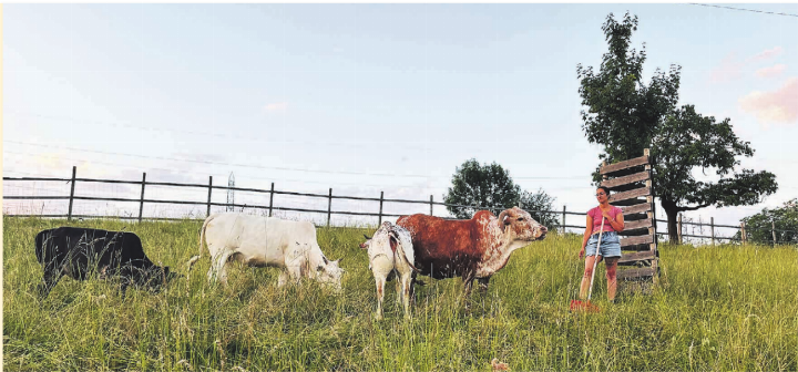 Geschichtn vom Tierlignadenhof Kaisten - Neuankömmlinge
