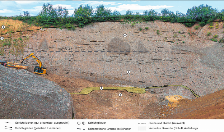 Über der Grubensohle kommen die Grundmoränensedimente vor (1). Darunter sind weitere, noch ältere Fluss-Schotter (2) aufgeschlossen. Die darüberliegende Kieswand besteht aus zwei Einheiten von Fluss-Kiesen (3, 4), die während späterer Eiszeiten abgelagert wurden. Die Unterteilung der beiden Schotter etwa auf mittlerer Höhe wurde aufgrund eines alten Bodenhorizontes (Paläoboden) vorgeschlagen, ist aber zur Zeit der Aufnahme nicht sichtbar (gestrichelte Linie). Zur Zeit der Aufnahme liess sich nur die obere Bodenbildung beobachten (beispielsweise bei 5). Die Kiese werden von Löss (6) überdeckt. Foto: zVg