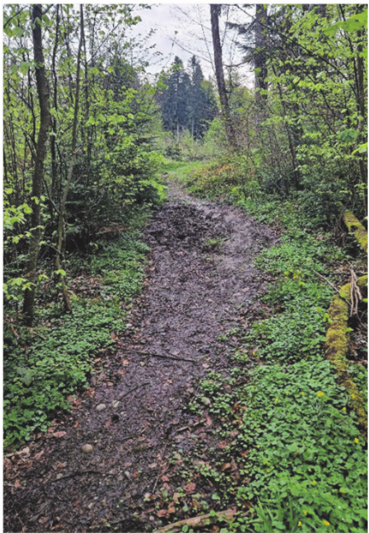 Der Weg vor der Instandstellung (links) und nachher. Der Weg vor der Instandstellung (links) und nachher.