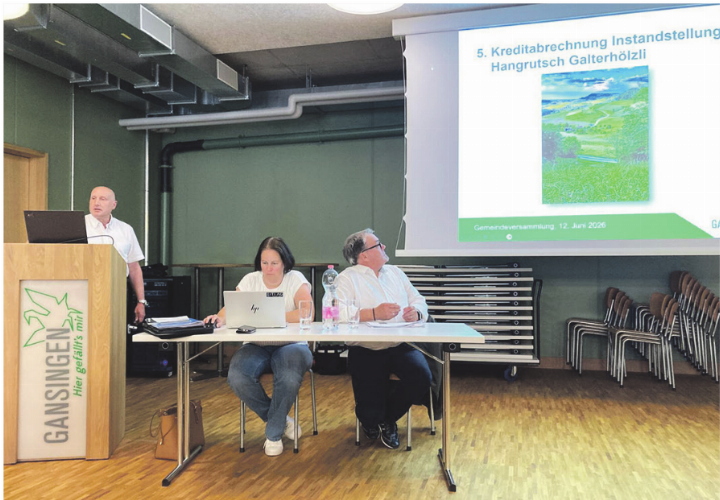 Informationen zur Kreditabrechnung Instandstellung Hangrutsch Galterhölzli. Foto: zVg