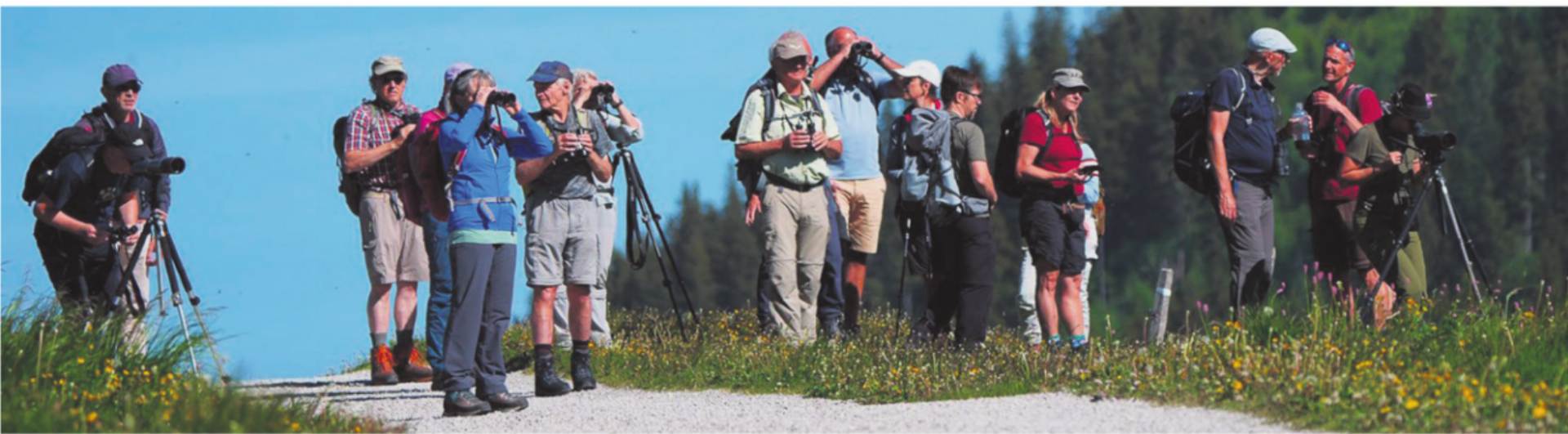 BERGVOGELEXKURSION IM NATURPARK GANTRISCH - Das Bild wird blockiert. – Möglicherweise durch einen aktiven Adblocker.