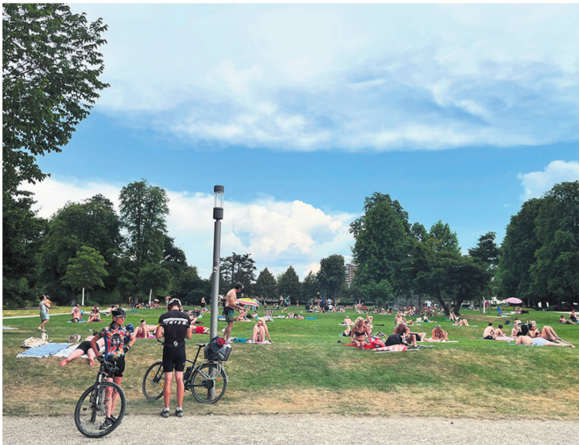 Strandleben an der Rheinfelder Riviera  - Das Bild wird blockiert. – Möglicherweise durch einen aktiven Adblocker.