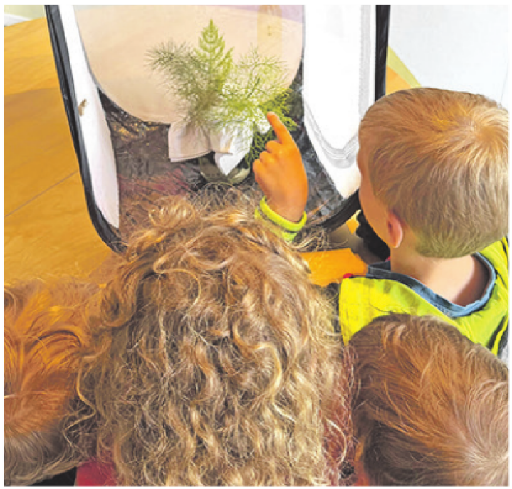Wundersame Verwandlung: Die Kinder waren hautnah dabei. Foto: zVg