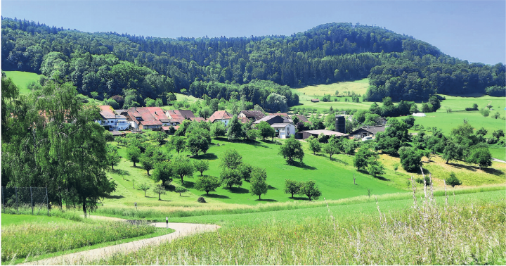 Idyllischer Blick auf Linn. Fotos: Petra Schumacher