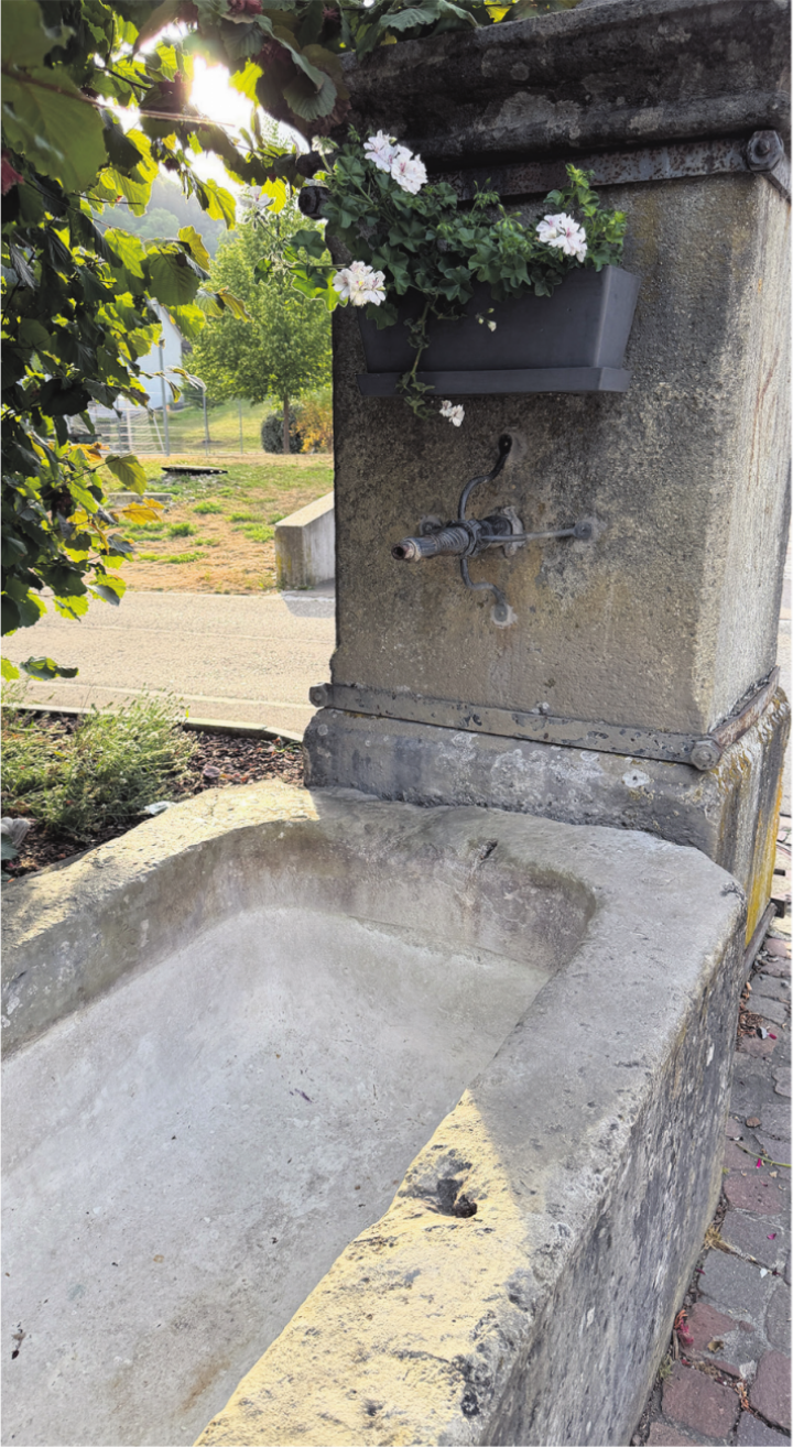 Die Dorfbrunnen sind abgestellt – eine von zahlreichen Massnahmen, um in Wittnau Wasser zu sparen. Fotos: Simone Rufli/zVg Die Dorfbrunnen sind abgestellt – eine von zahlreichen Massnahmen, um in Wittnau Wasser zu sparen. Fotos: Simone Rufli/zVg