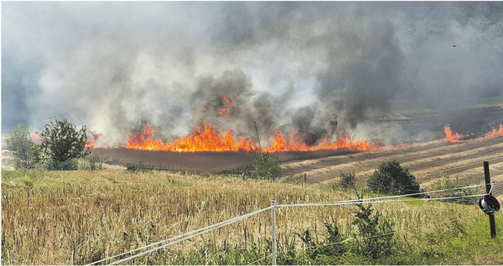 Eine riesige Feuerwalze überfährt das Stoppel- und Getreidefeld. Foto: zVg