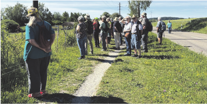 Die Exkursion wurde vom Naturschutzverein Oeschgen organisiert. Foto: zVg