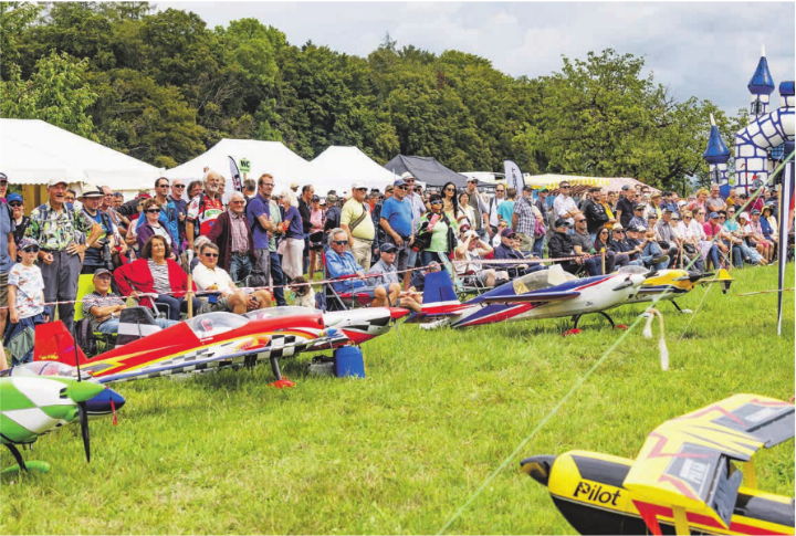 Die ganze Vielfalt des Modellflugs zeigt sich auf dem Loorholz-Platz. Foto: zVg