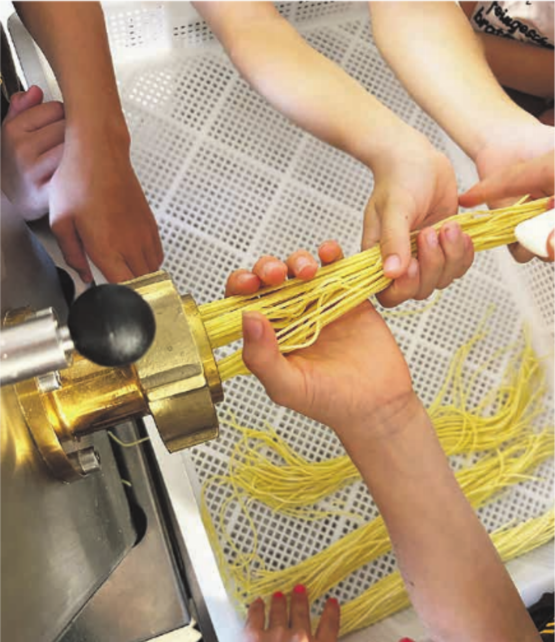Selbst gemachte Pasta - Das Bild wird blockiert. – Möglicherweise durch einen aktiven Adblocker.