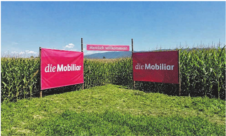 Die Mobiliar und der Eichhof Zeiningen bitten ins Maisfeld-Labyrinth.    Foto: zVg