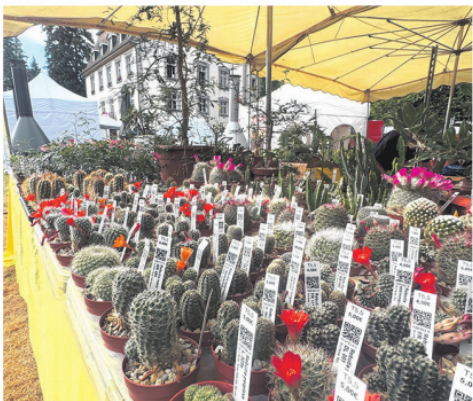 Erfolgreiche Gartenmesse - Das Bild wird blockiert. – Möglicherweise durch einen aktiven Adblocker.