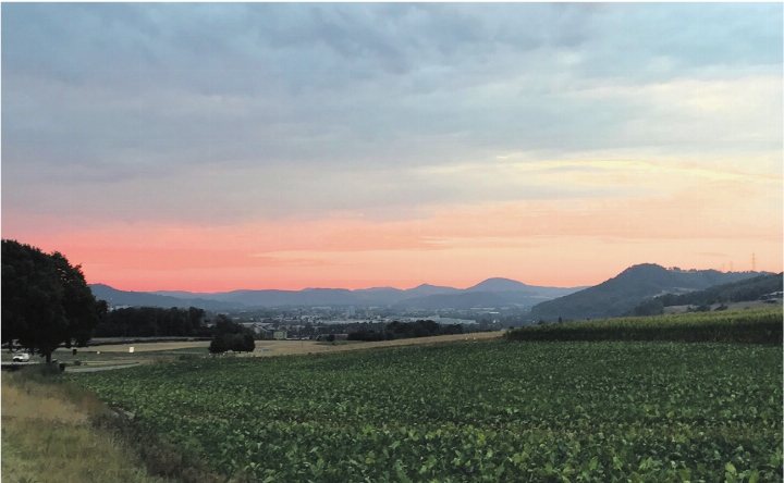 Morgenrot auf dem Hochplateau zwischen Möhlin und Mumpf. Morgenrot auf dem Hochplateau zwischen Möhlin und Mumpf.