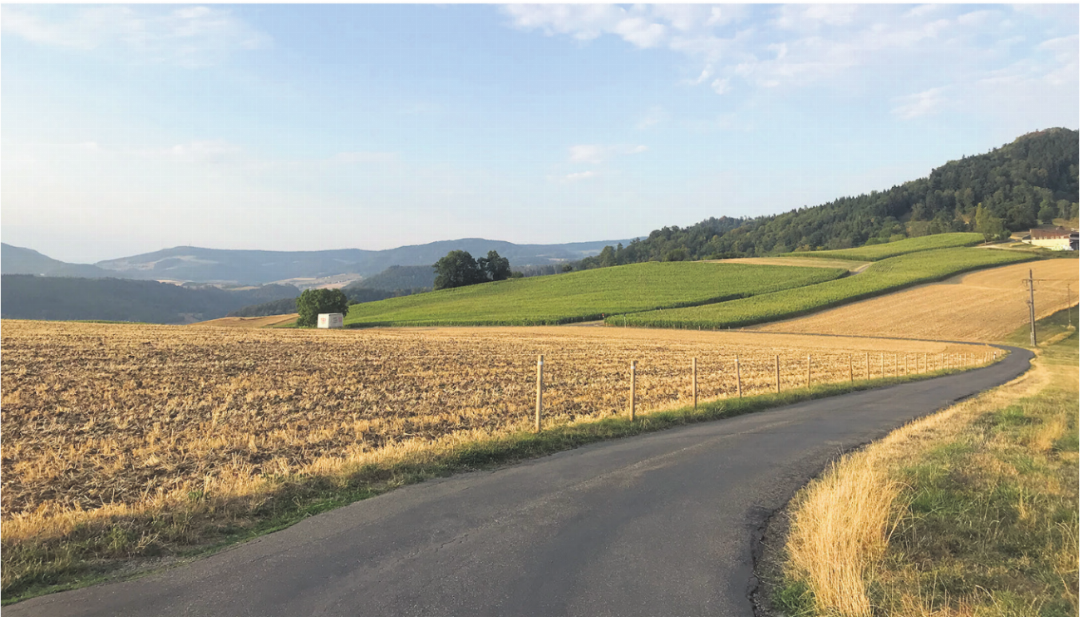 Auf dem Wolberg, bereits mit Sonne. Auf dem Wolberg, bereits mit Sonne.