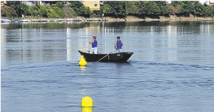 Die jüngsten der Sektion Wallbach im Slalom.    Foto: zVg