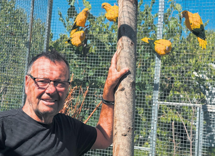 Das Wohl der exotischen Vögel liegt Rolf Lanz sehr am Herzen. Fotos: Susanne Hörth Das Wohl der exotischen Vögel liegt Rolf Lanz sehr am Herzen. Fotos: Susanne Hörth