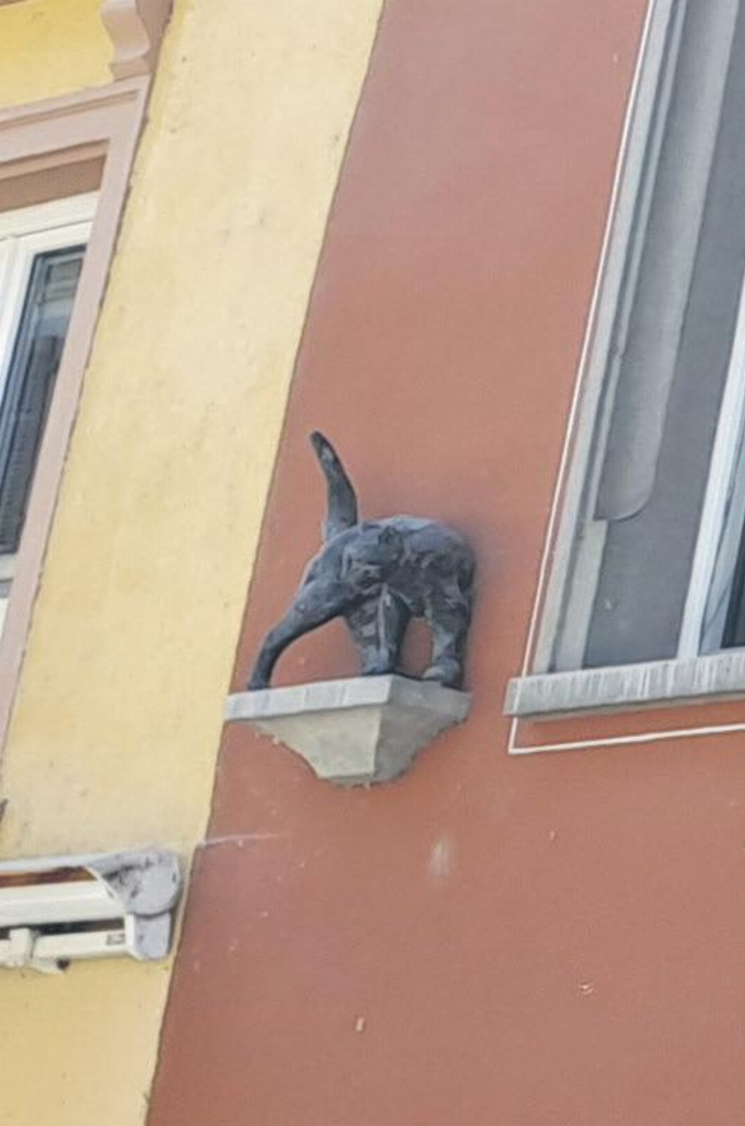 Der Kater beobachtet die Leute von oben. Der Kater beobachtet die Leute von oben.