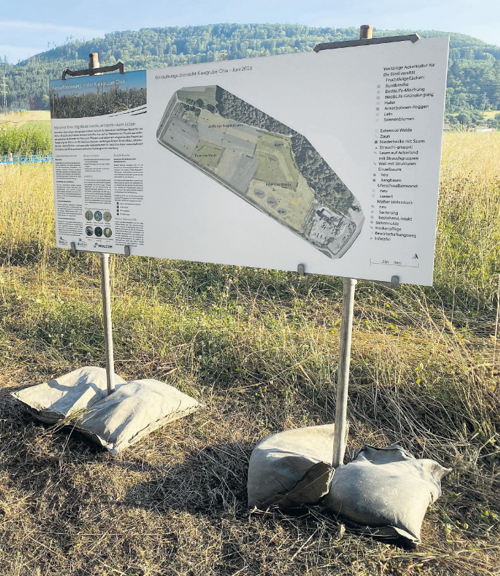 Das Naturschutzprojekt «Naturoase in der Kiesgrube Chis in Zeiningen» erhält von der AKB-Stiftung einen Beitrag von 30 000 Franken.    Foto: zVg