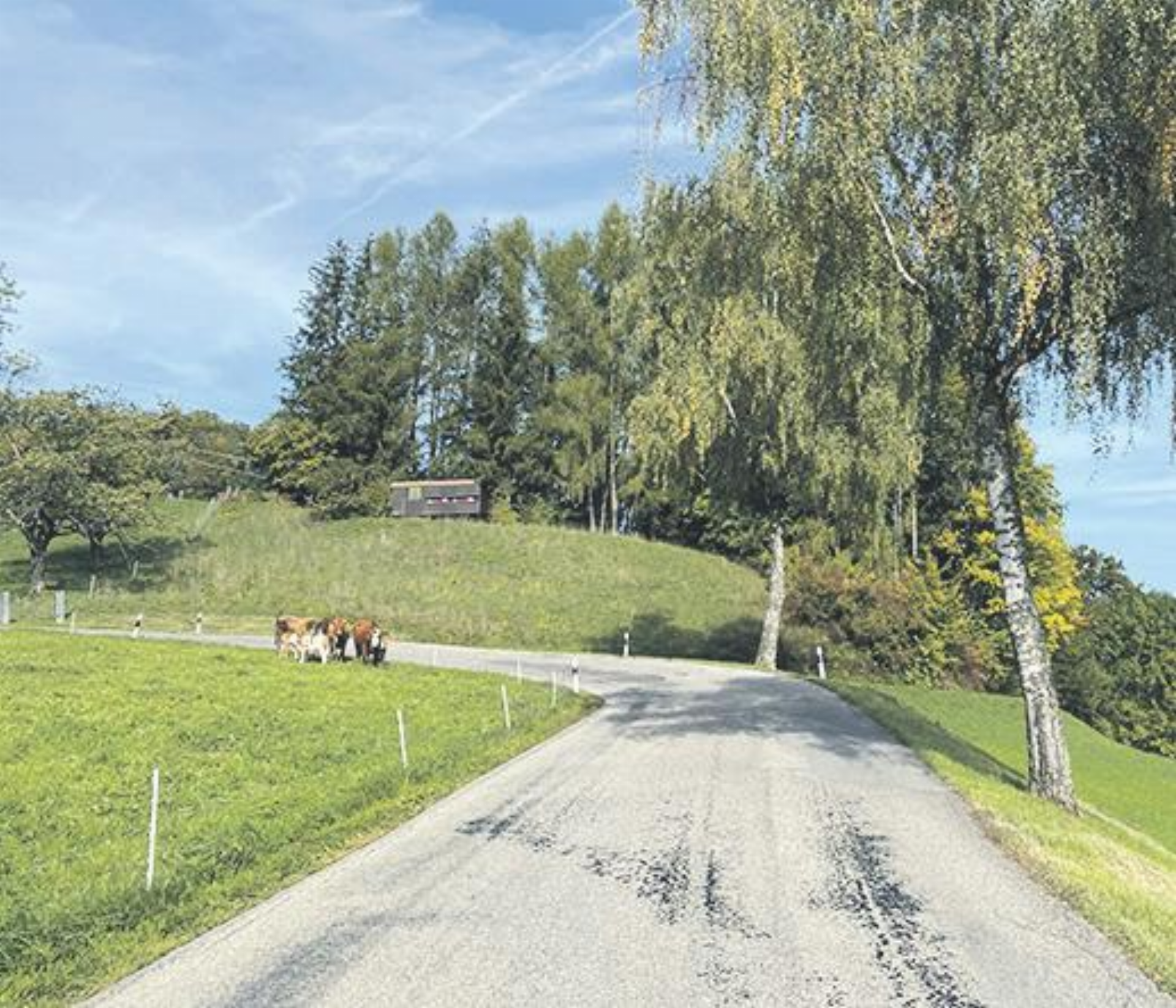 Strasse Hottwil– Bürersteig gesperrt - Das Bild wird blockiert. – Möglicherweise durch einen aktiven Adblocker.