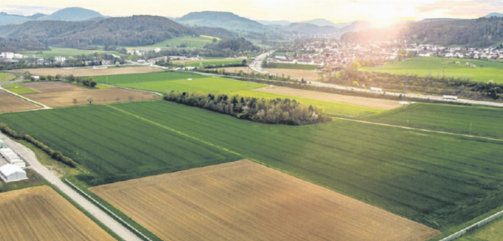 Auf diesem Areal will Bachem im Jahr 2030 eine neue Produktionsanlage in Betrieb nehmen. Foto: zVg