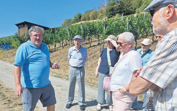 Interessierte Senioren mit Gerhard Wunderlin im Rebberg. Foto: zVg Interessierte Senioren mit Gerhard Wunderlin im Rebberg. Foto: zVg