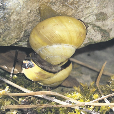 LESERFOTO - Ein unbequemes Zwiegespräch? Foto: Rita Sollberger, Zeiningen