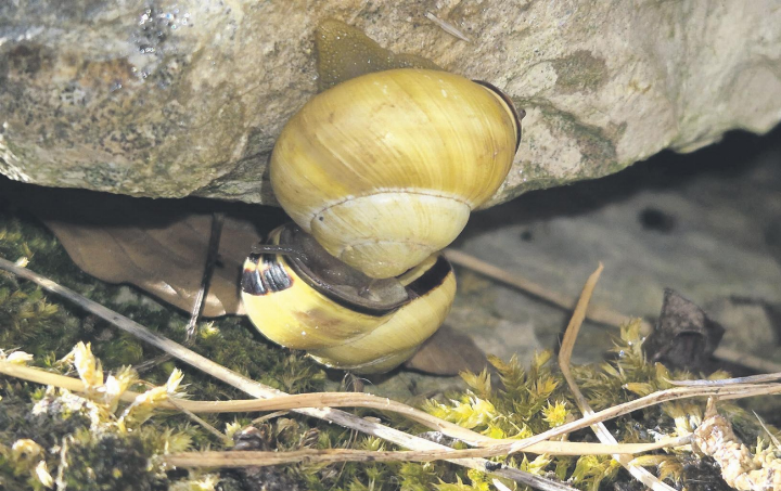 Ein unbequemes Zwiegespräch? Foto: Rita Sollberger, Zeiningen